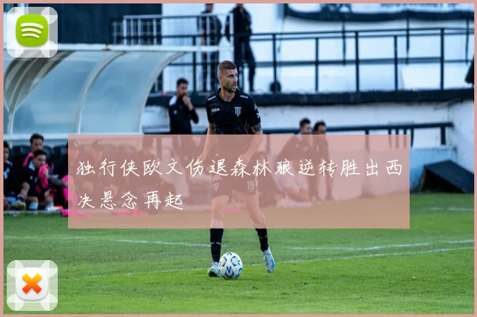独行侠欧文伤退森林狼逆转胜出西决悬念再起
